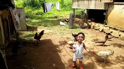 Bunawan Panabo Carmen Manok Panabong (Backyard .